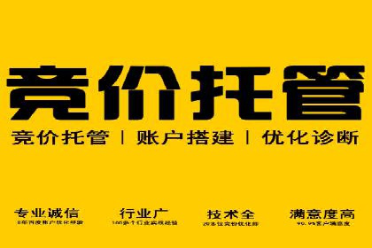 竞价推广的投放时机与频率：经典案例教学